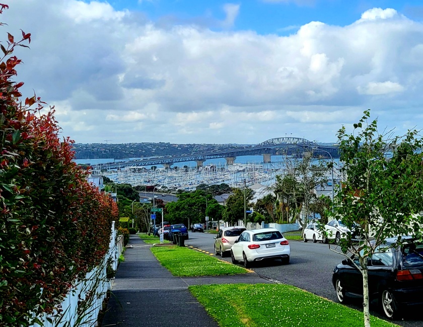 Looking down on the harbor bridge and marina from Ponsonby neighborhood of Auckland