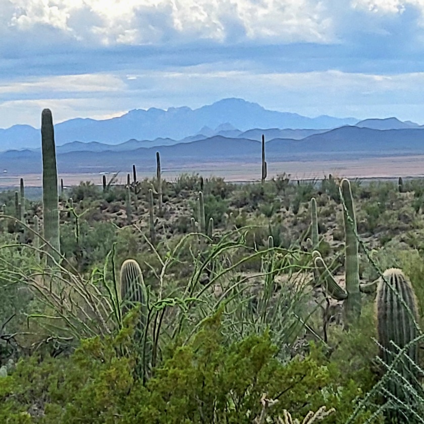 Tucson panorama from Sonora Desert Museum